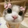 maymayy_shop