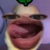 _diot02
