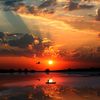 life_explorer3