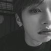 lee1knws