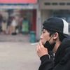 alamsyah8538