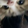 aairaatffamilygen4