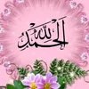 ahmadvrk5qf