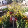 user1009635514740