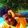 balane88355802