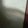 thaethae33tt