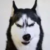 lalsldram5