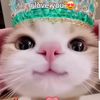 kweenv51