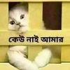 mison185