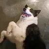 lglckmn