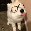 thepeopleidk