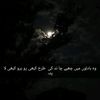 shiadya8