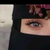 wassouf.wassouf6