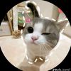nadiya345673