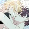 _o8rin