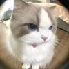 urgirlfriendtheint20