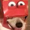 nathanisnormal