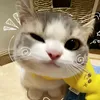 sammie_731