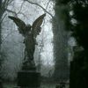 arianapr06