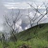 www_com094
