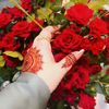 malika.noor429