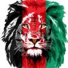 user09214004723httptikto