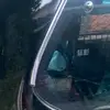 wdyaa_hid