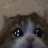 saidepchieunhatthegioi23