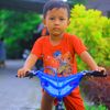 ferdiansyah.dwi.p0