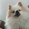 la_ly55