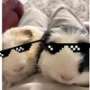 turbo_vinne2511