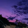 luunaacolomboo38