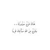 rooo7_2025