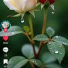 user714961765802