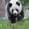 kong.xiangyou