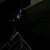 bziu_tl09