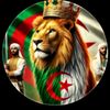 ali.bigaa7