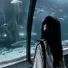 _human_how_else