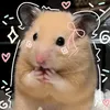 rq_ah9