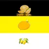 liteaks