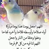 ntdpwer
