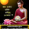 dissanayake571