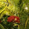 sumona.akter29