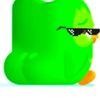 duolingt