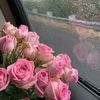 rooh_ink