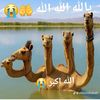 user31455162772438