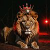 Ahmed سينبا🪄👑