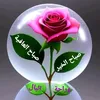 mohamed123fes