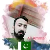 ali.ammar5805