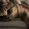lo_fy02